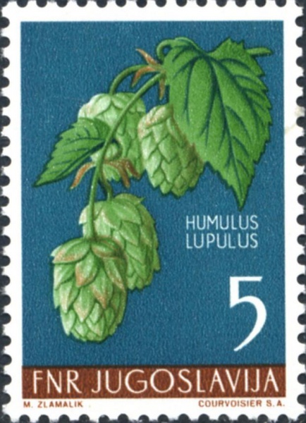 Bestand:Joegoslavie-1955-hop.jpg